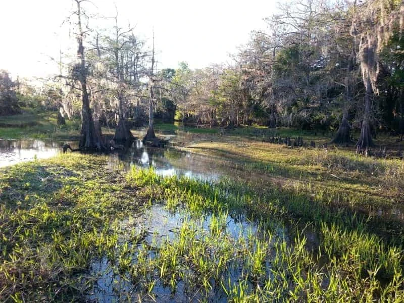 Fisheating Creek Resort RV Park and Campground