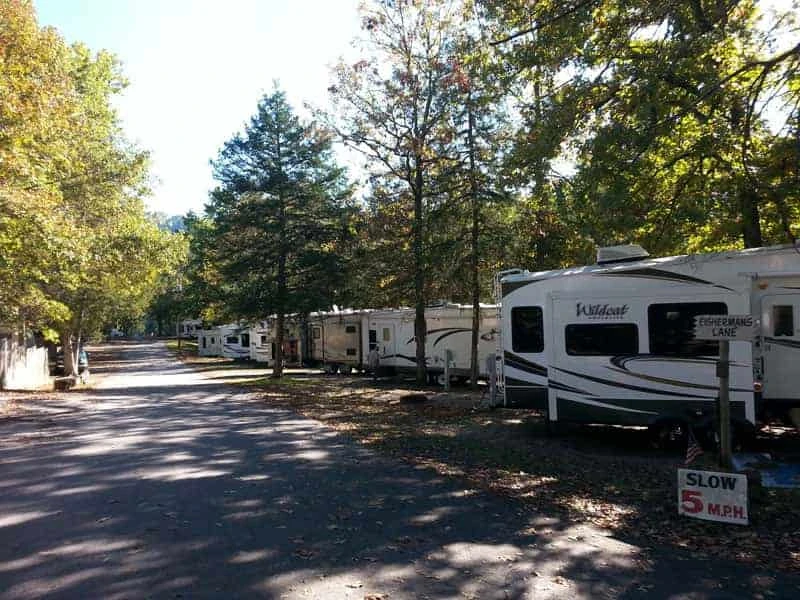 Cooper Creek Campground