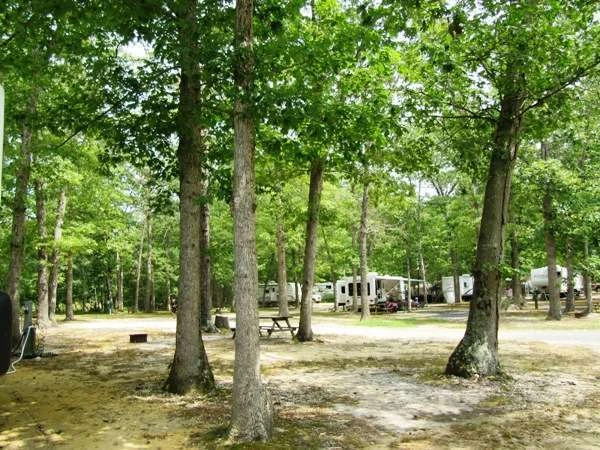 Spacious Skies Campgrounds - Country Oaks