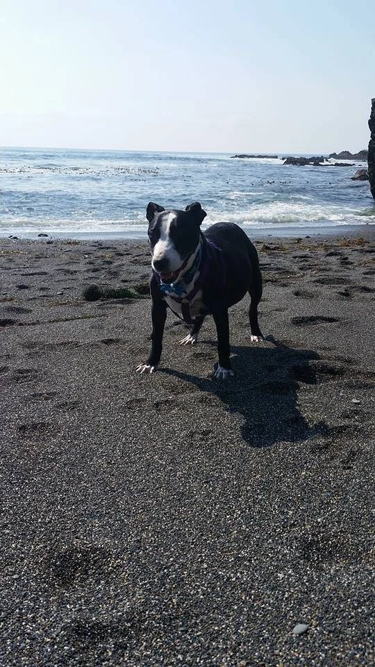 Redwood RV Park