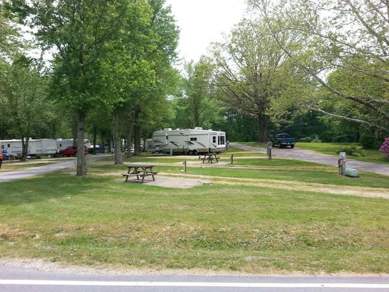 Lazy Boy Travel Park