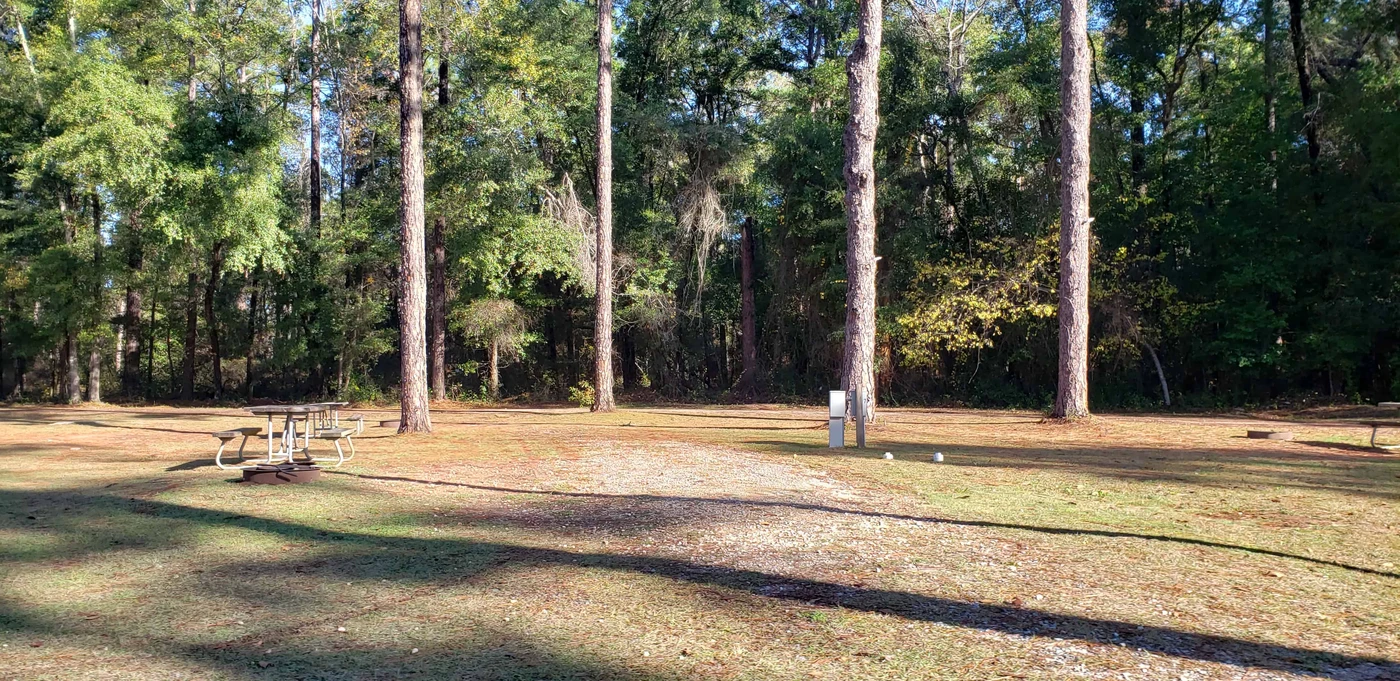 Chehaw Campground Georgia