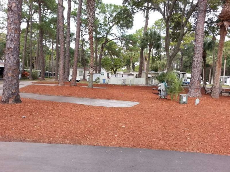 Oak Springs Travel Park