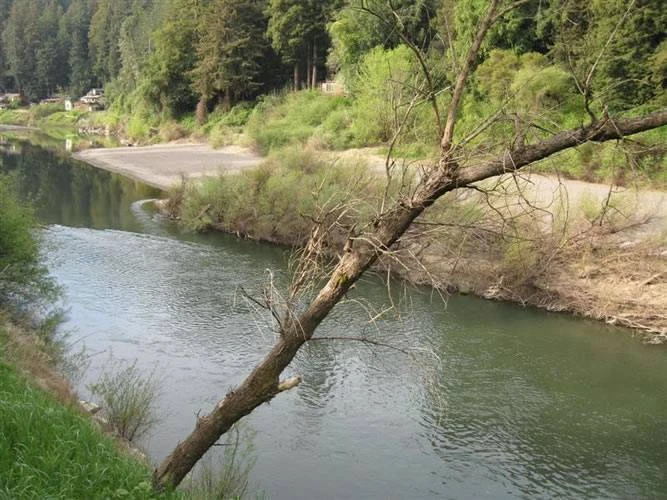 River Bend Resort