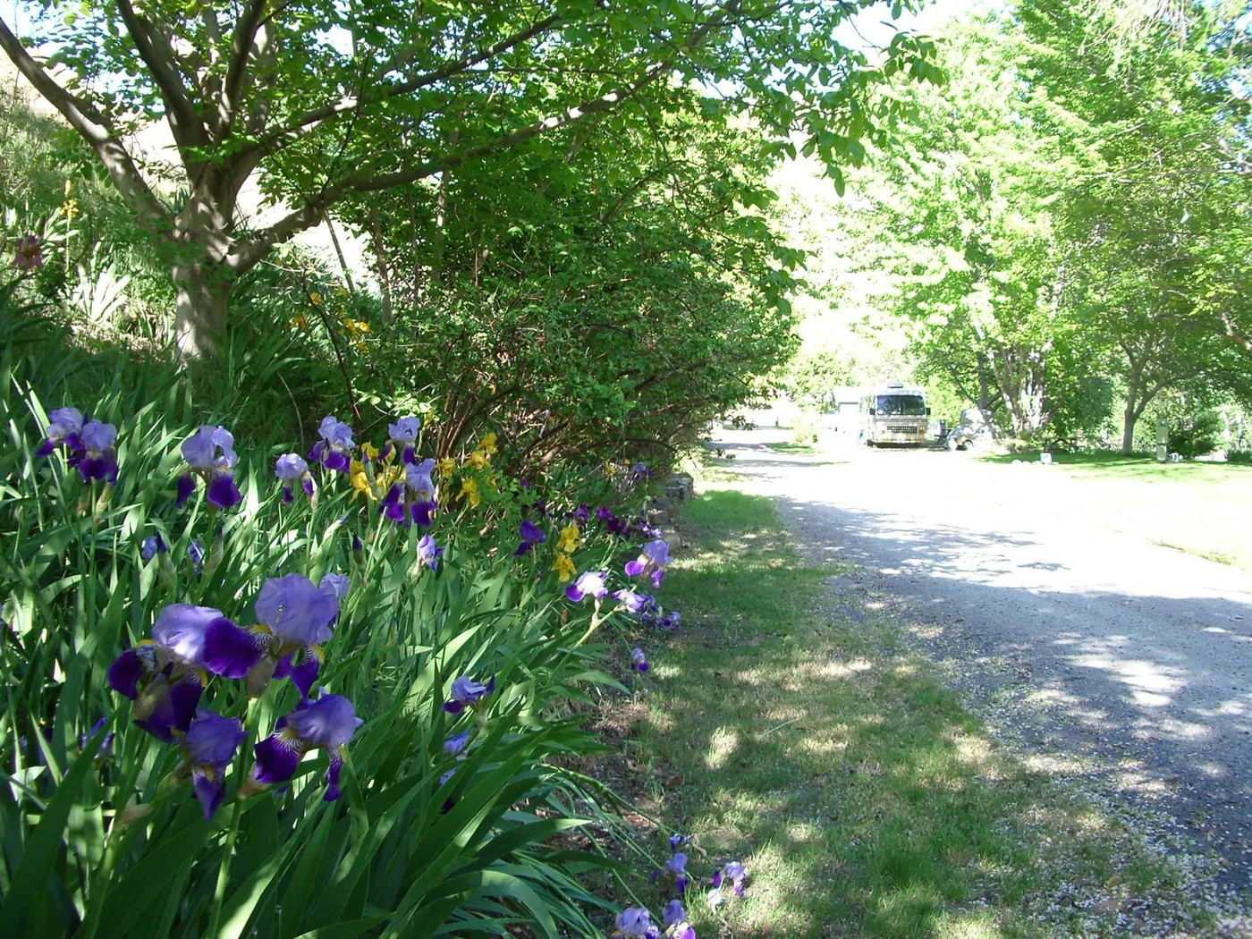 Riverside RV Park