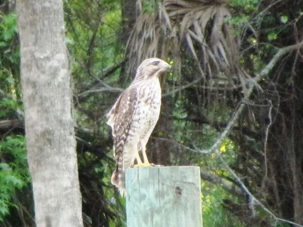 New Smyrna Beach RV Park and Campground