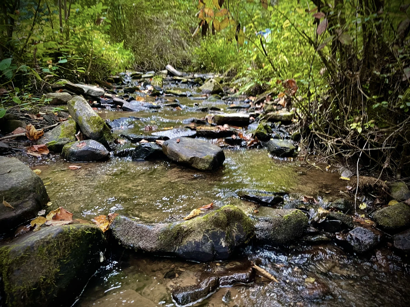Turkey Creek Campground