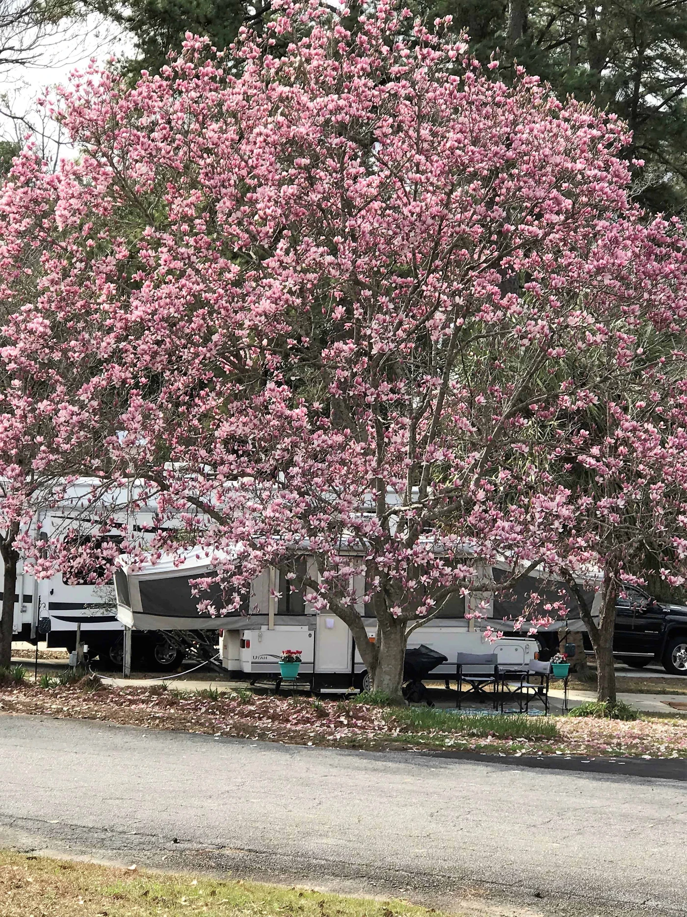 River Park RV Park
