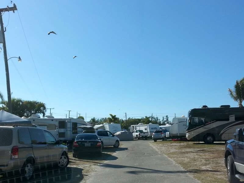 Oyster Bay Senior Adult RV Park