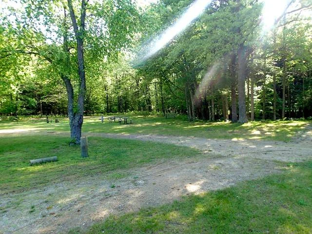 Oasis Resort & RV Park