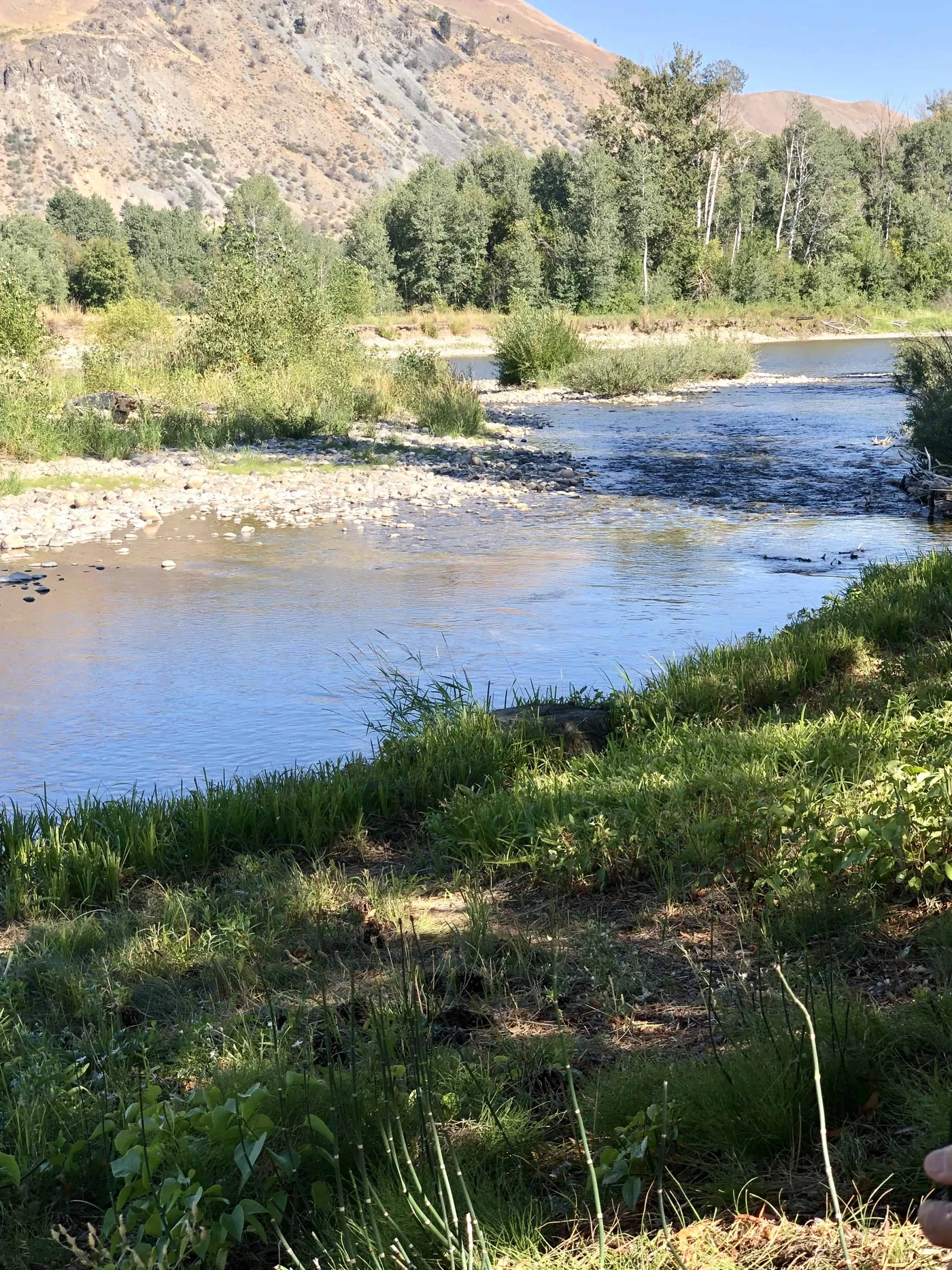 Riverbend RV Park