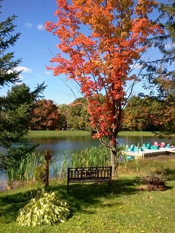 Cooperstown Shadow Brook Campground