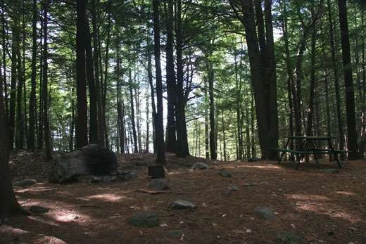 Tully Lake Campground