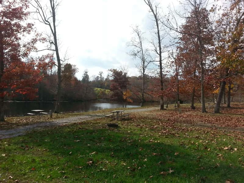 Ballyhoo Family Campground