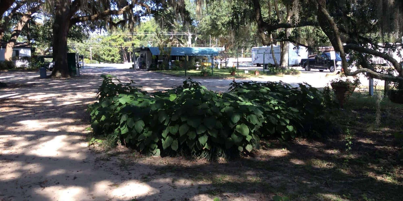 Big Oak RV Park