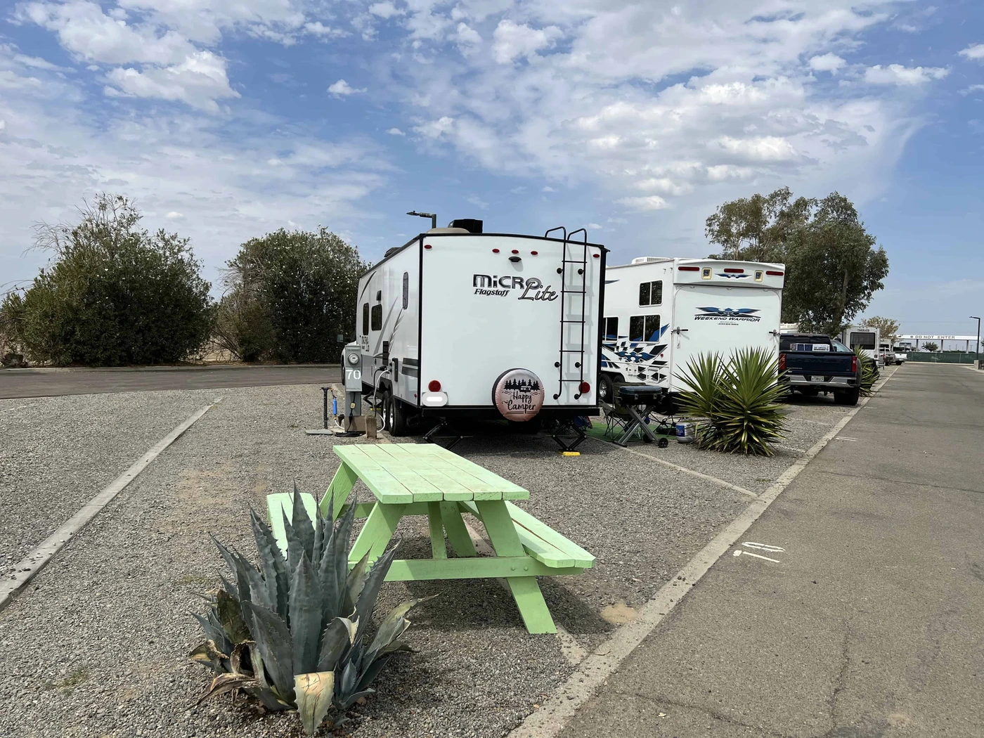 Almond Tree Oasis