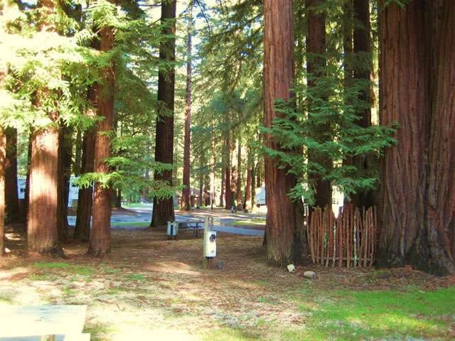 Smithwoods RV Park
