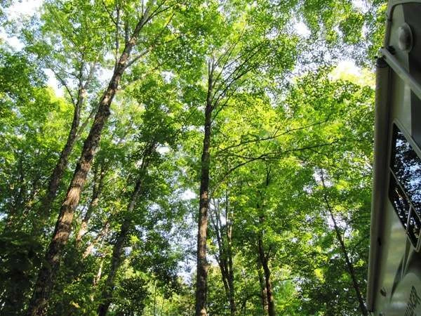 Camping on the Battenkill