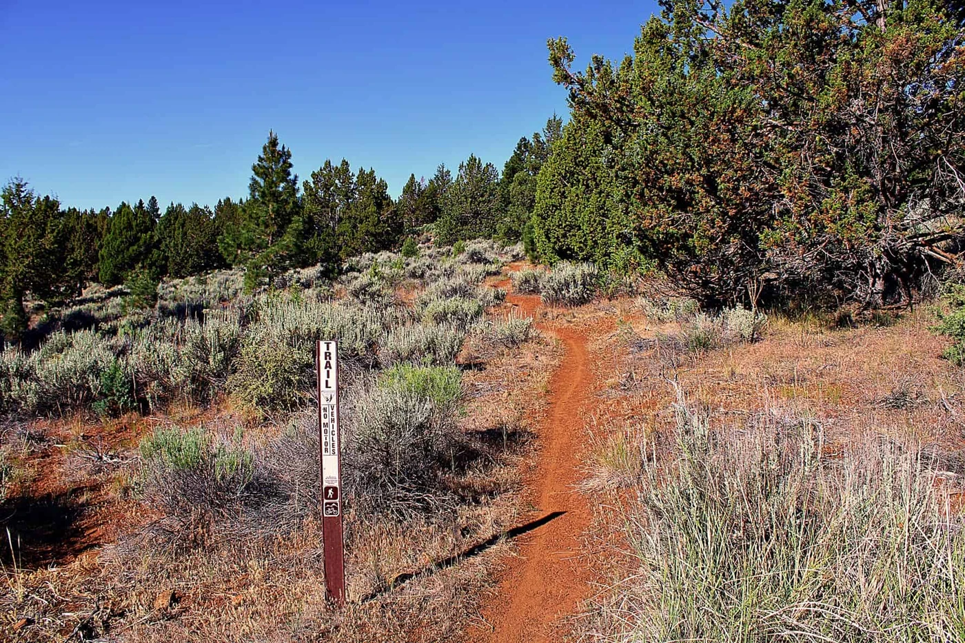 American Eagle RV Park