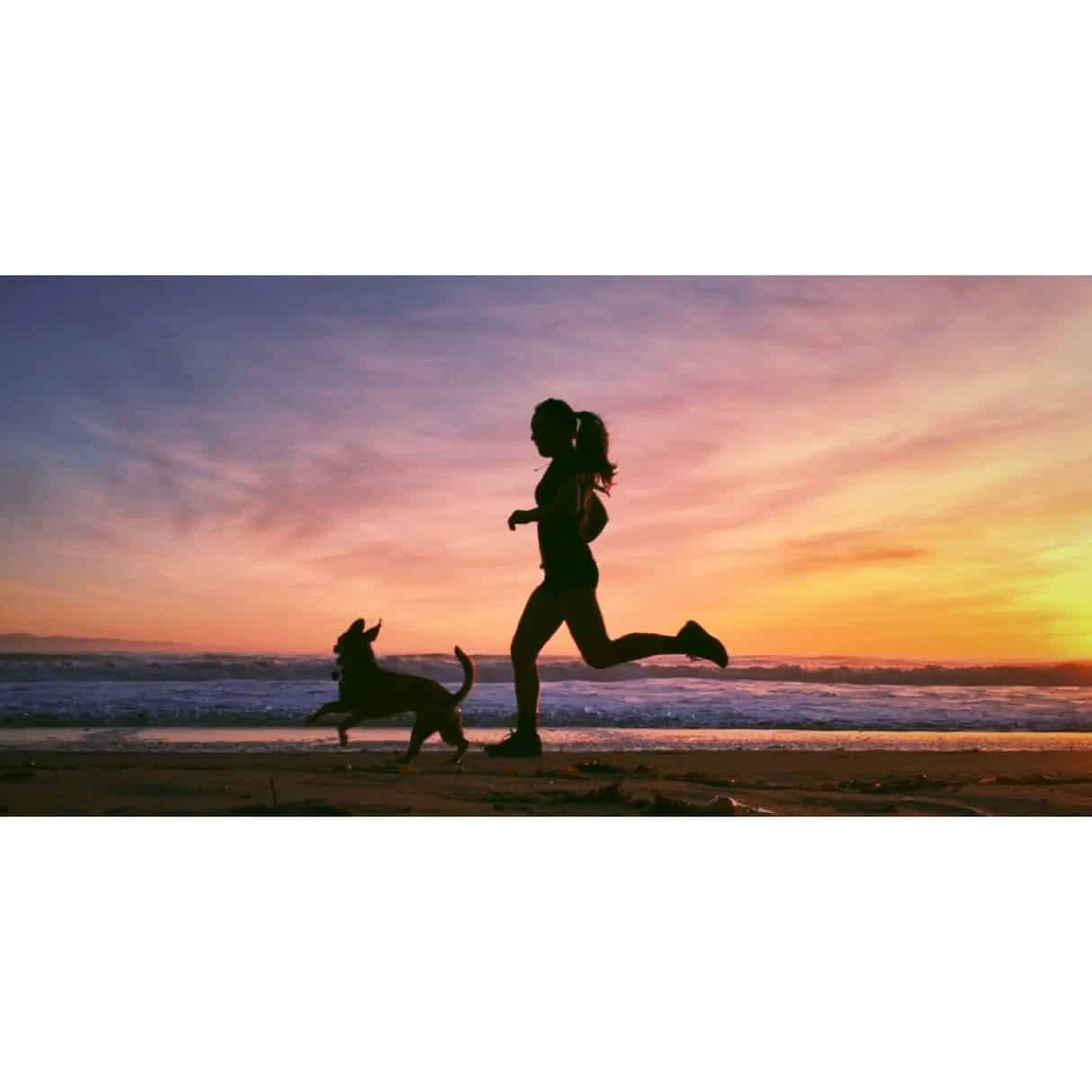 Santa Barbara Sunrise RV Park
