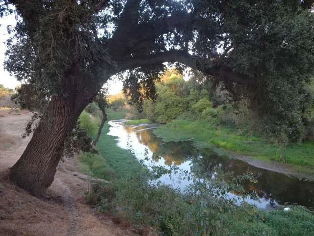 Merced River RV Resort