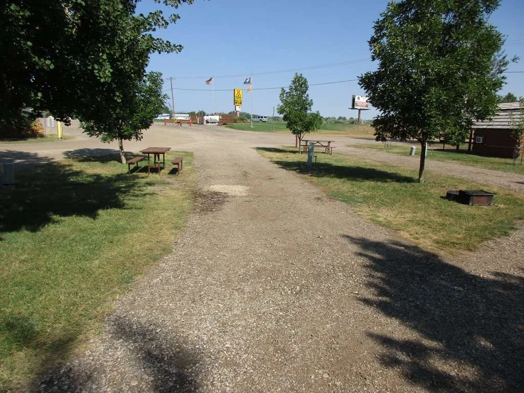 Buffalo KOA