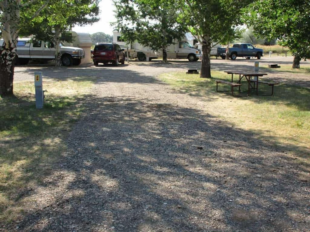 Buffalo KOA