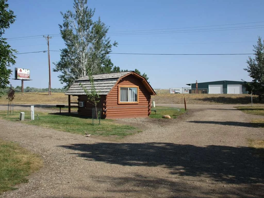Buffalo KOA