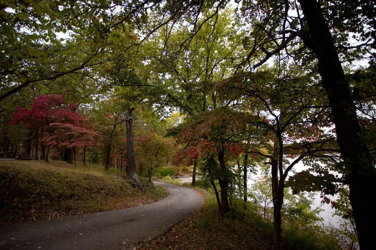 Honey Creek Area at Grand Lake State Park