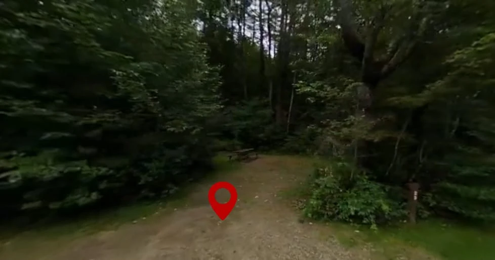 Winhall Brook Campground