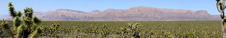 Meadview RV Park and Rentals