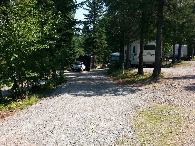 Timber Wolf Resort