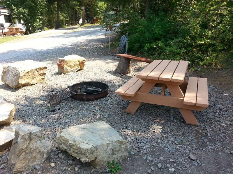 Timber Wolf Resort