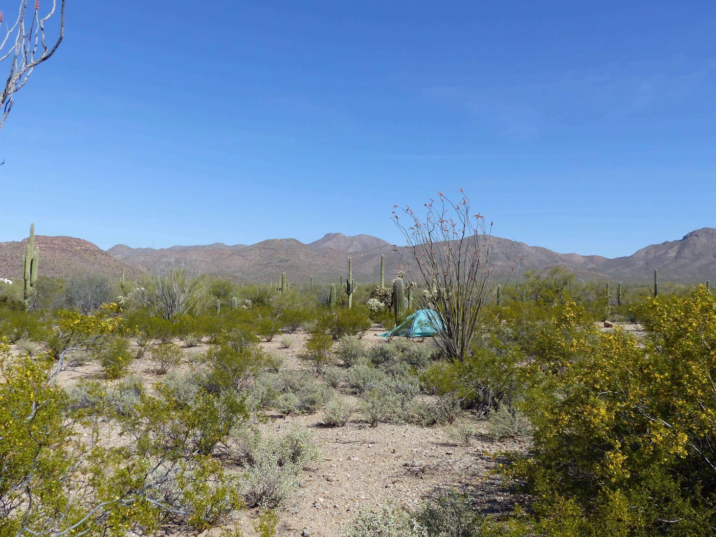 Gilbert Ray Campground