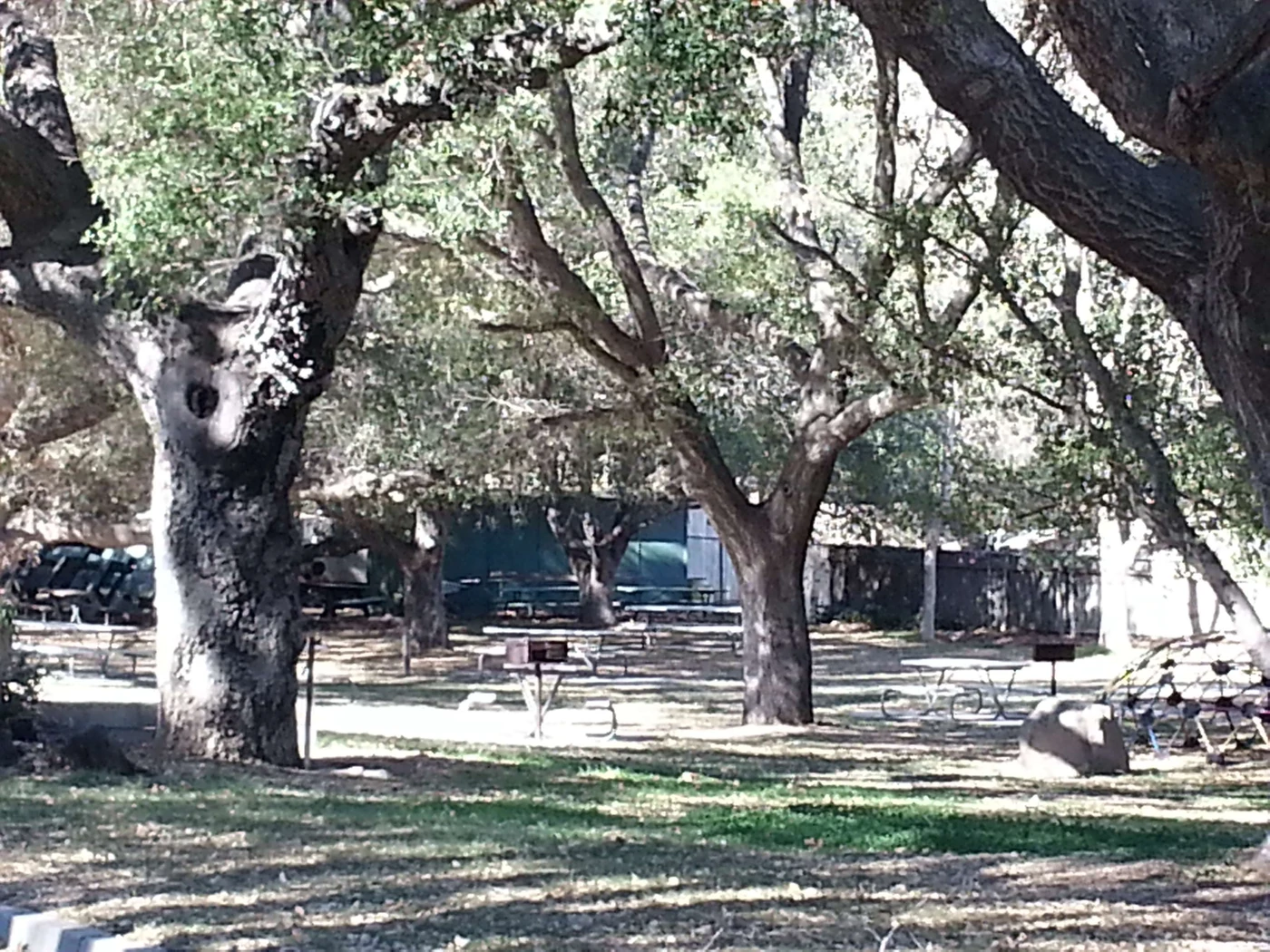 Kenney Grove