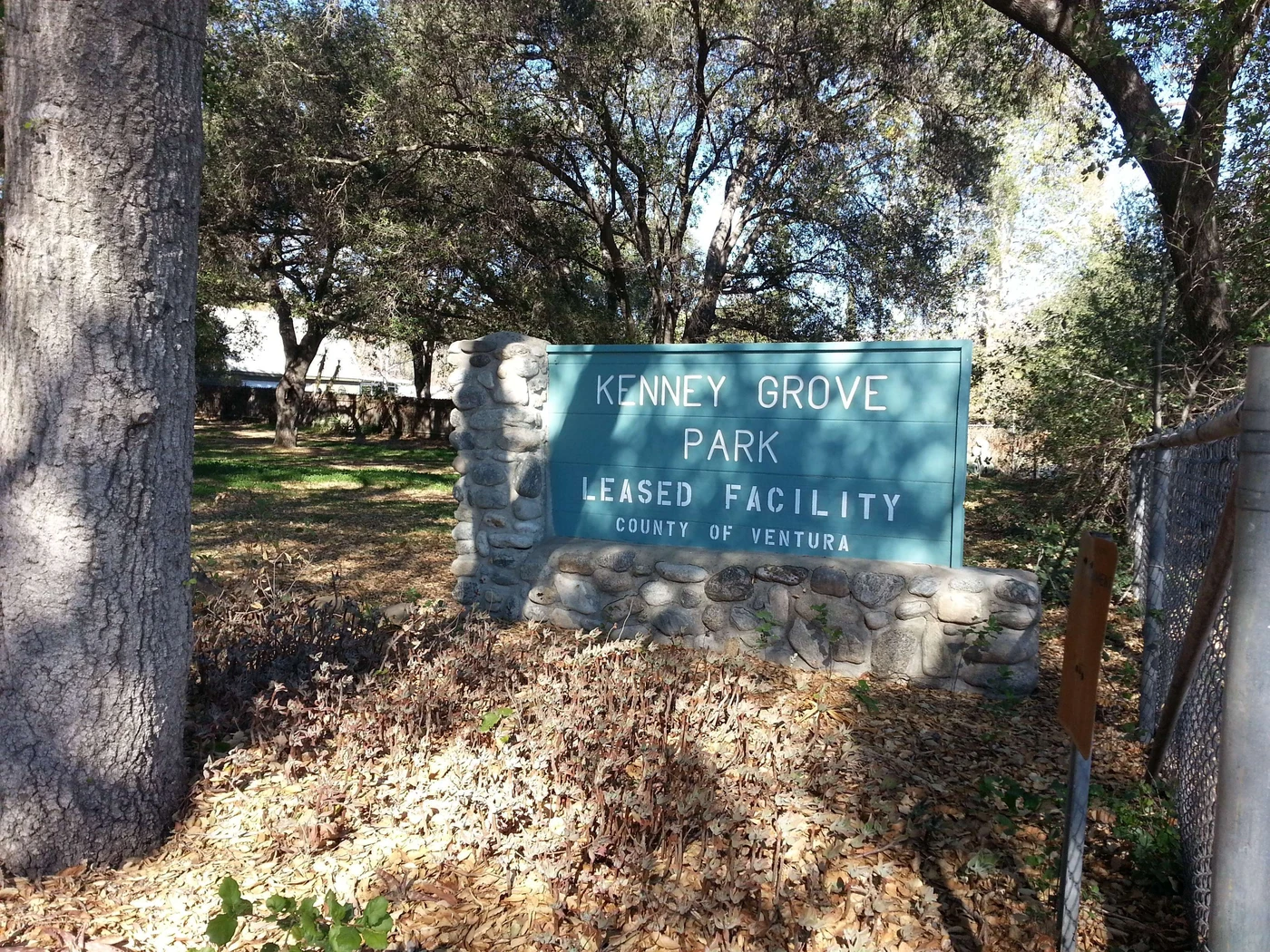 Kenney Grove