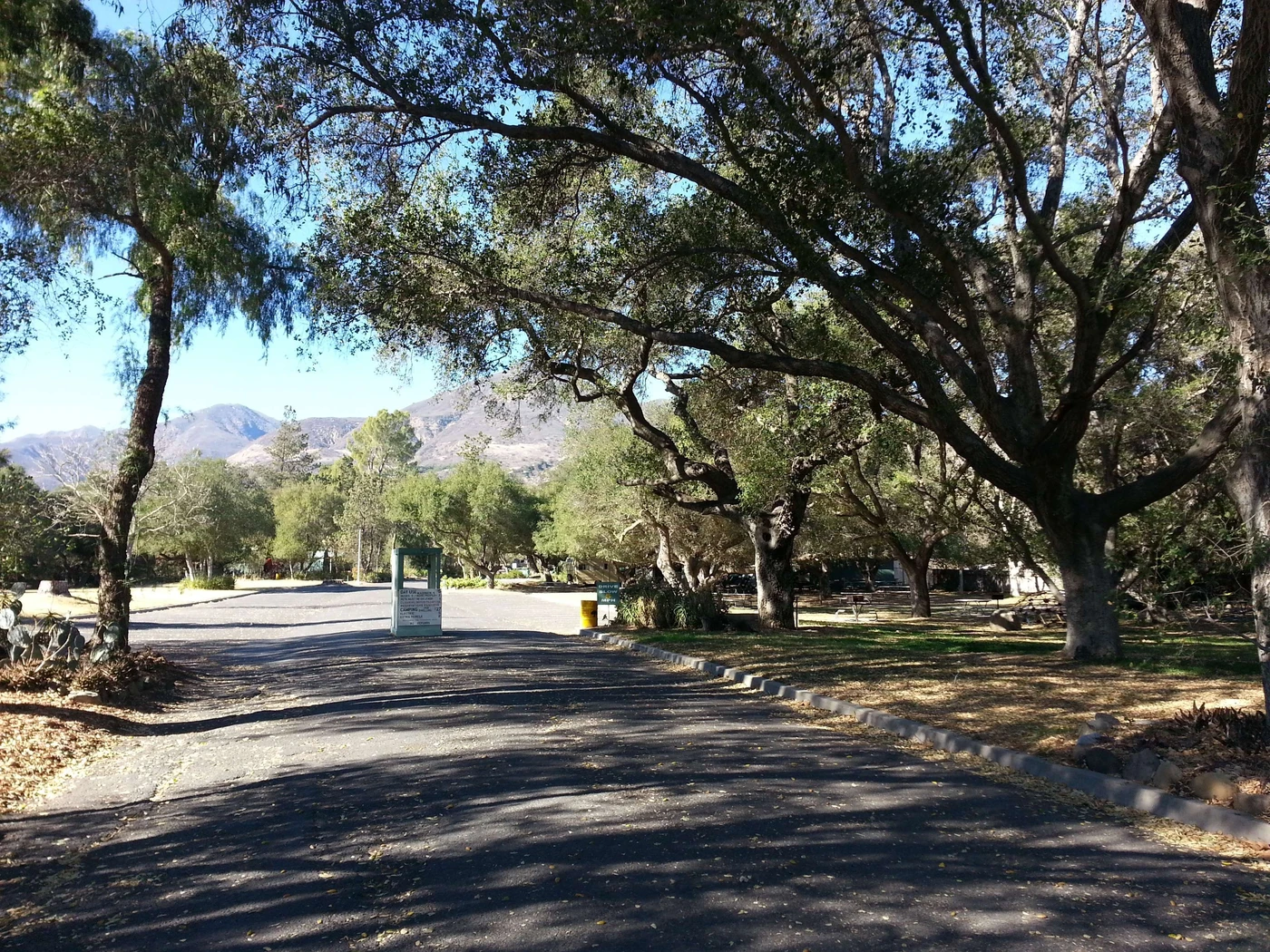 Kenney Grove