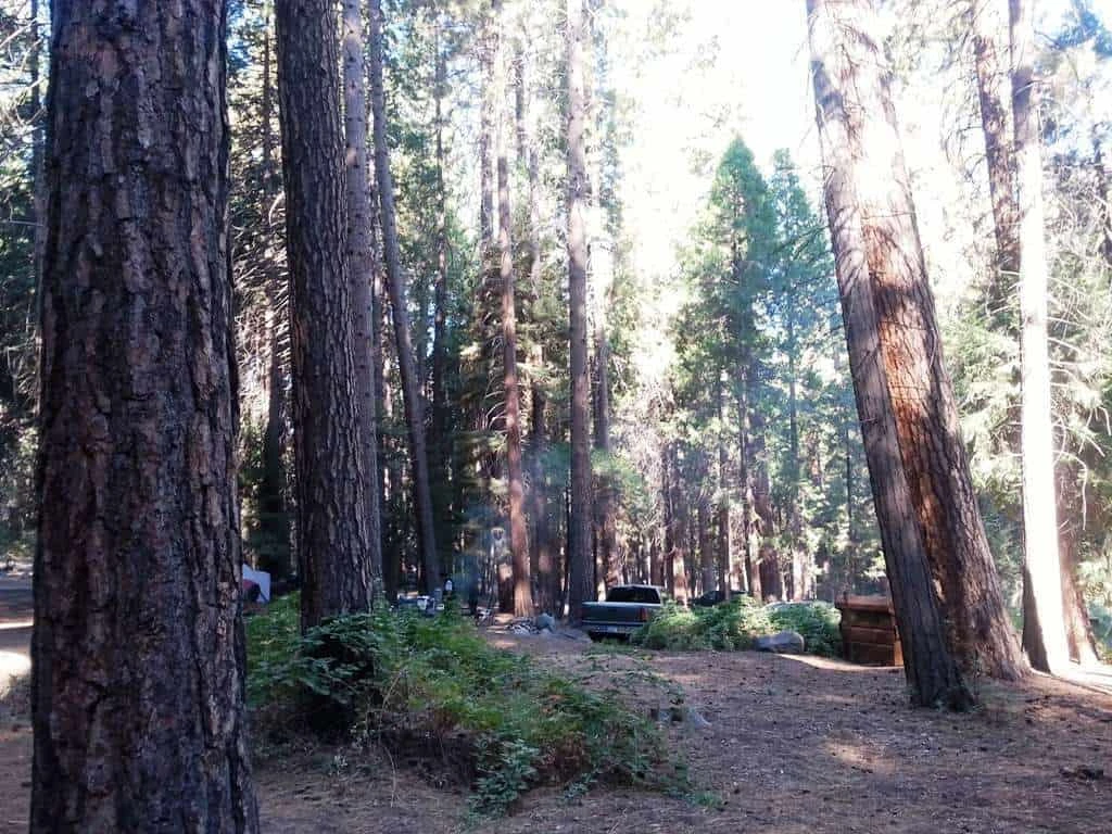 Sentinel Campground