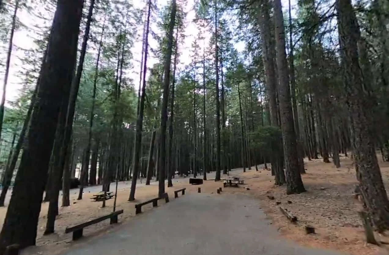 Hayward Flat Campground