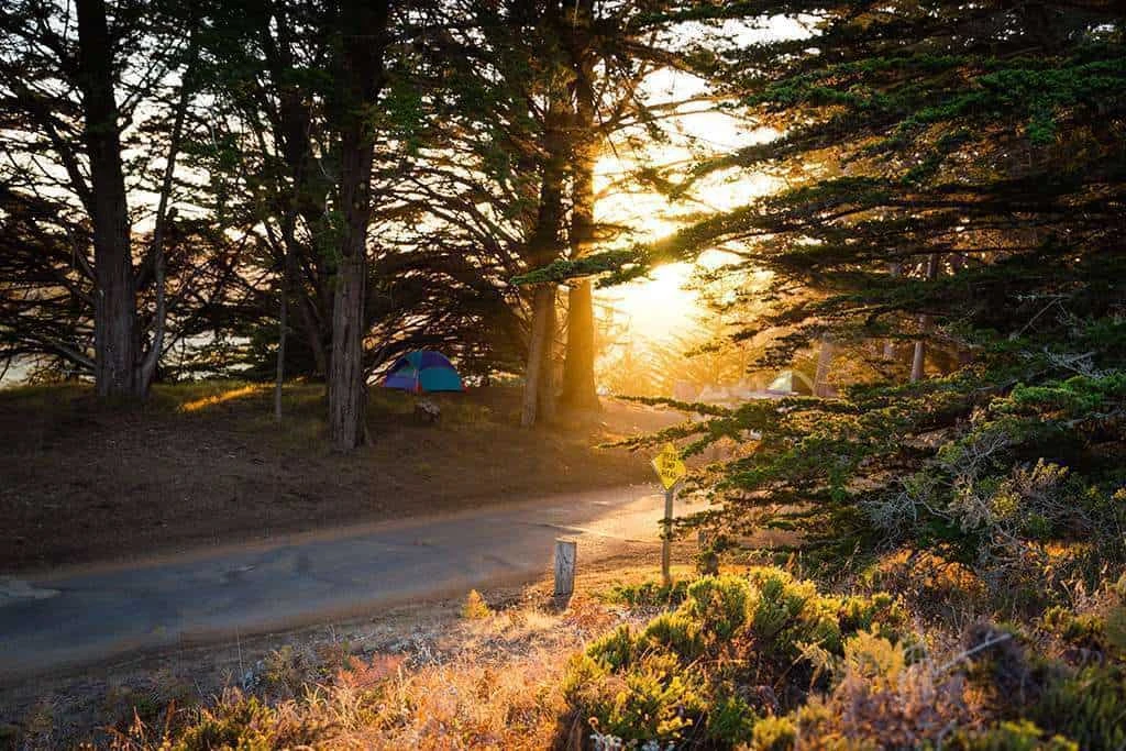 Sonoma Coast State Park - Bodega Dunes Campground