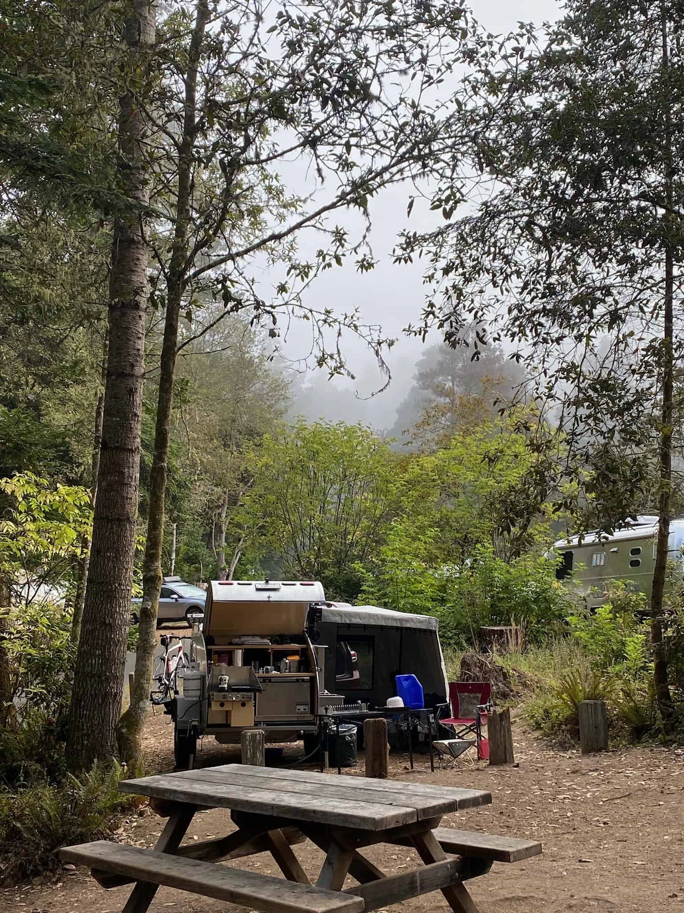 Van Damme State Park