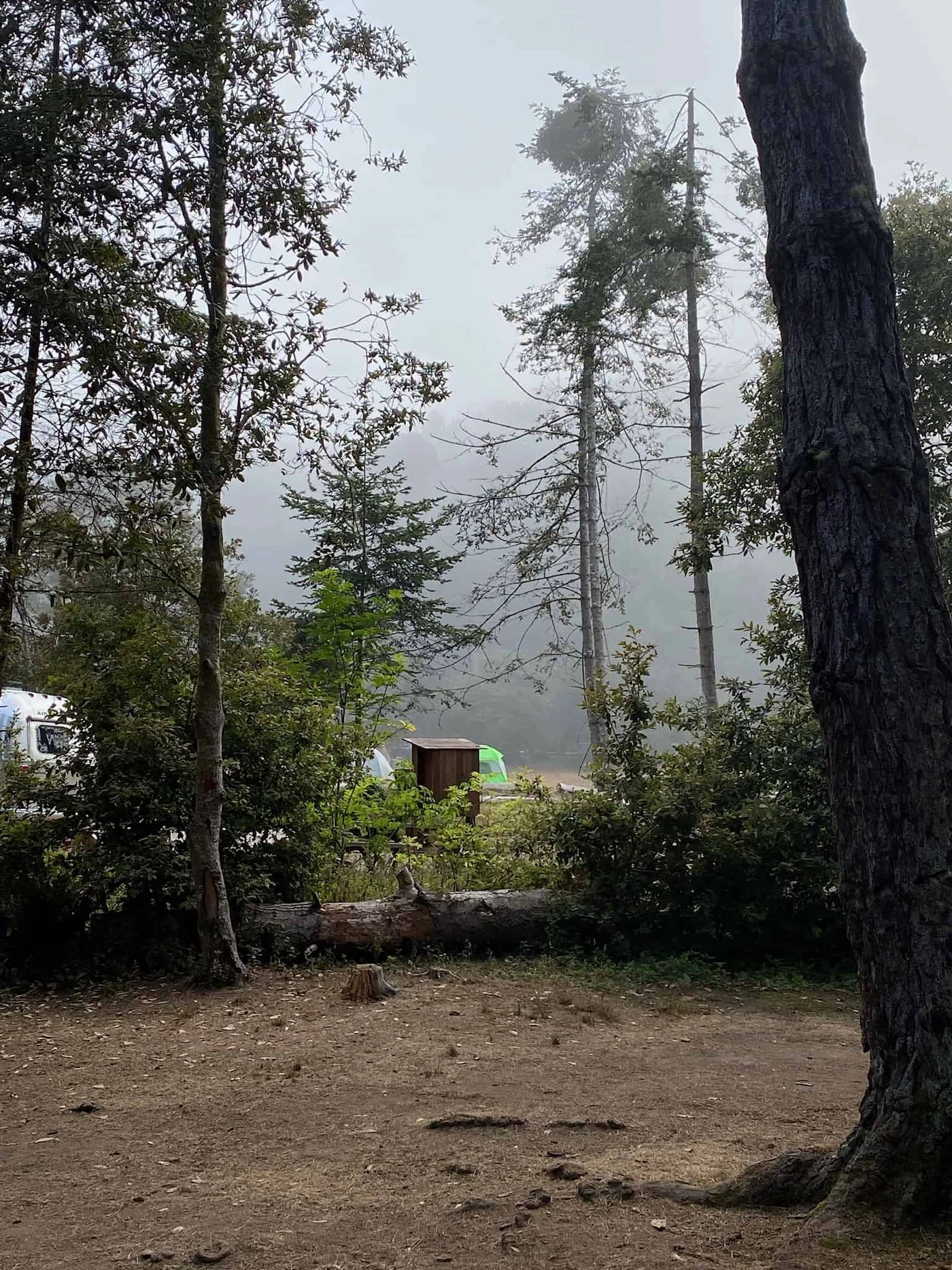 Van Damme State Park