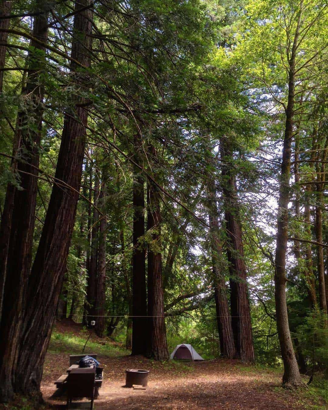 Albee Creek Campground - Humboldt Redwoods State Park