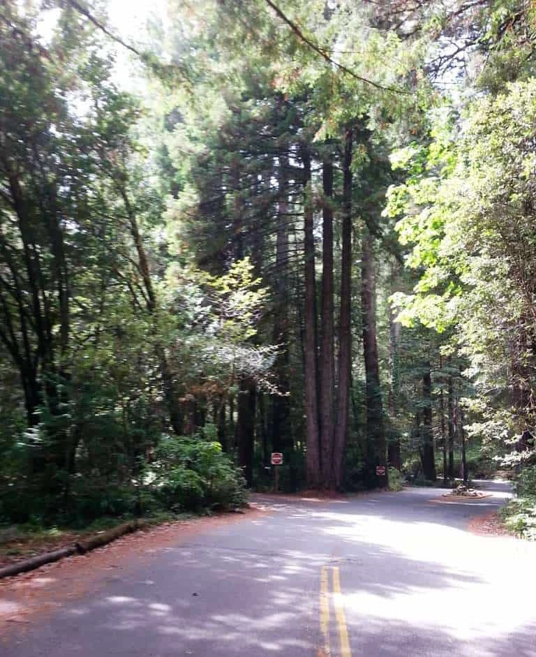 Jedediah Smith Campground