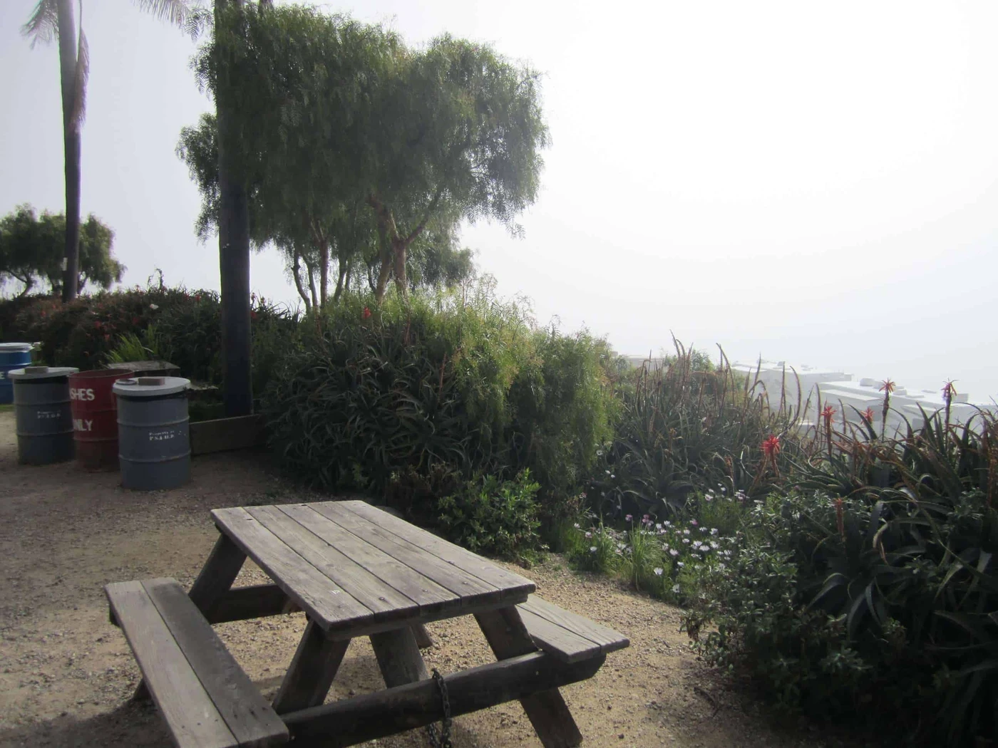 Port San Luis Harbor Campgrounds