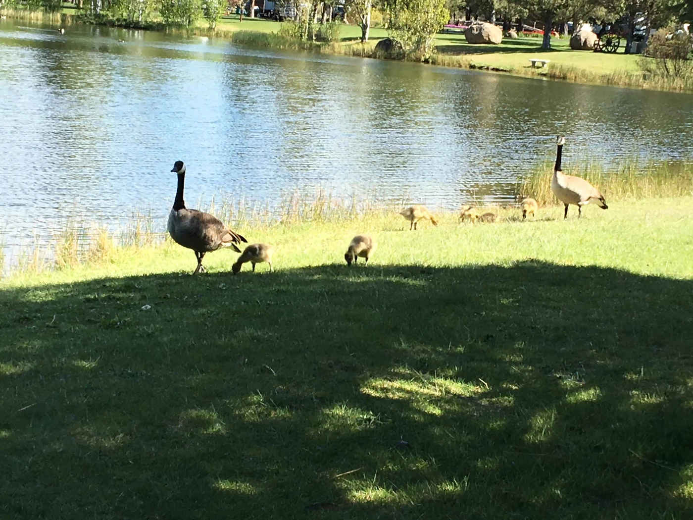 Bend Sisters Garden RV Resort