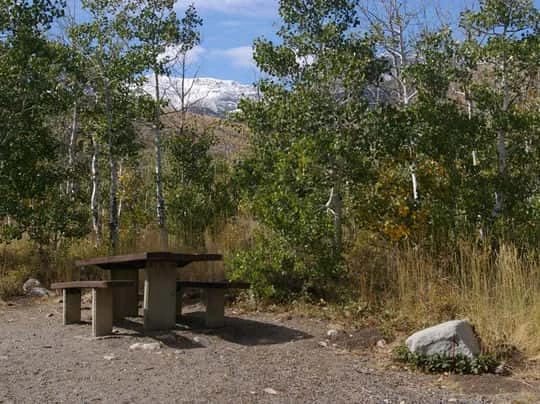 Angel Creek Campground