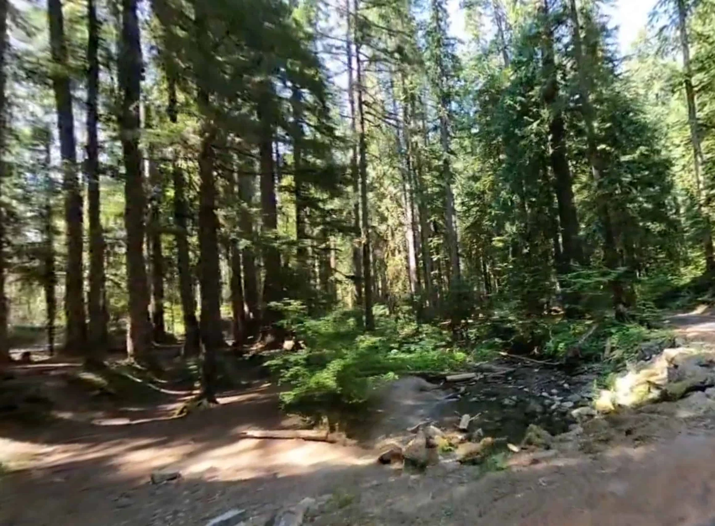 Ohanapecosh Campground
