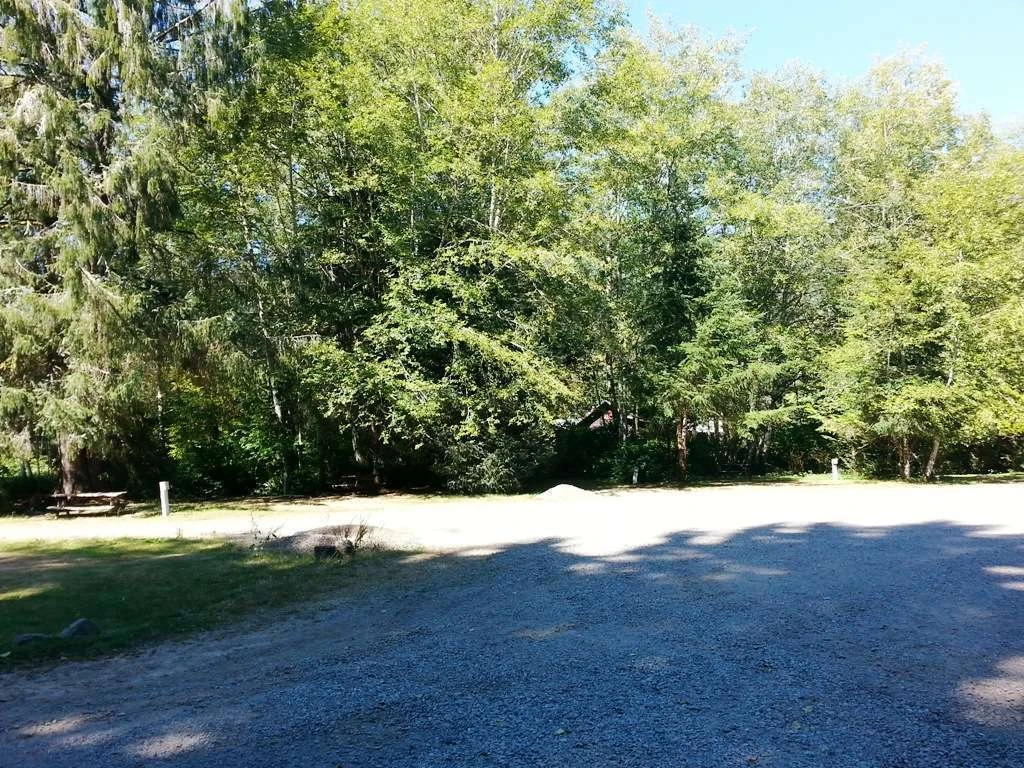 Hard Rain Cafe RV Park