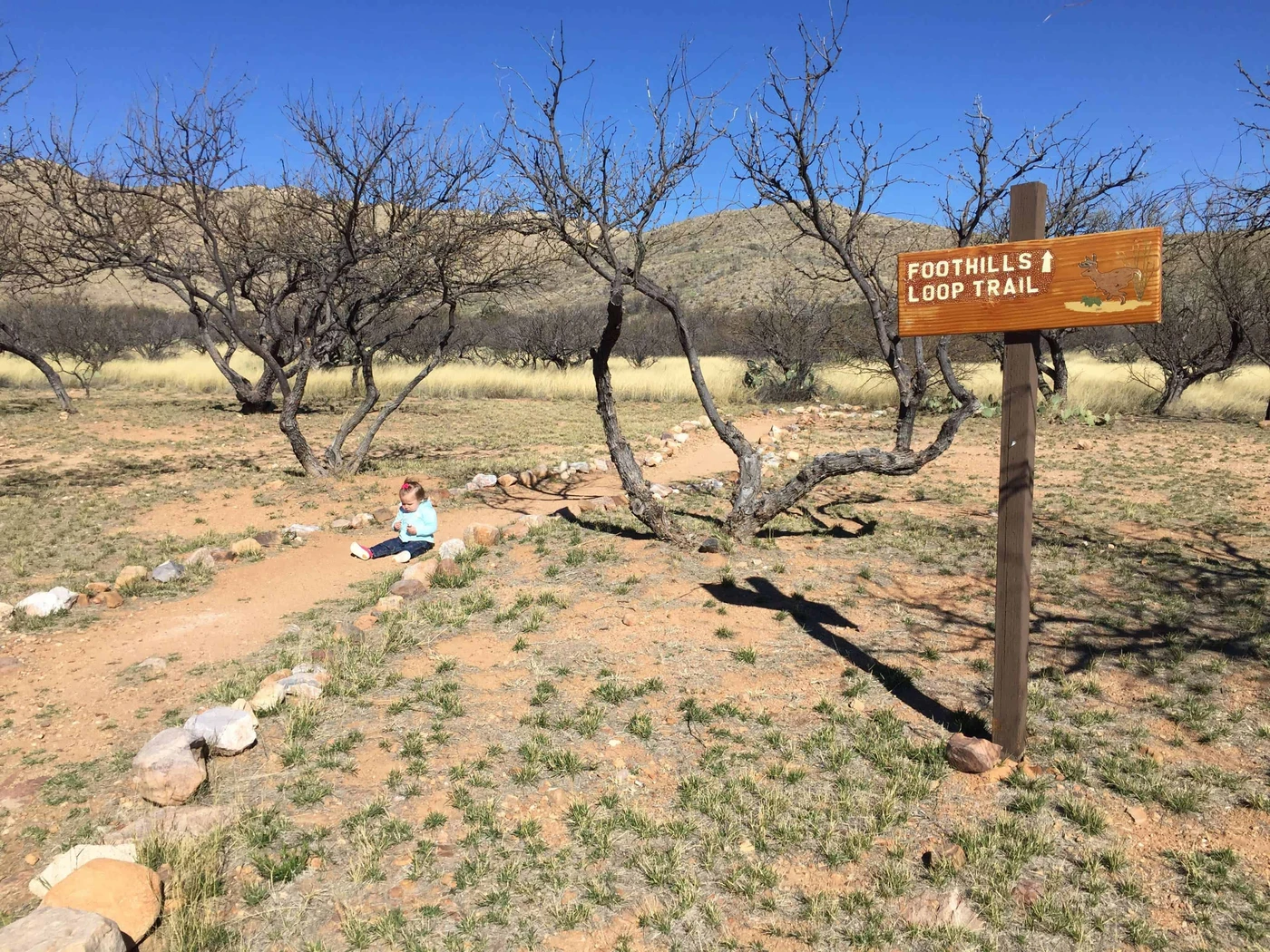 Kartchner Caverns State Park
